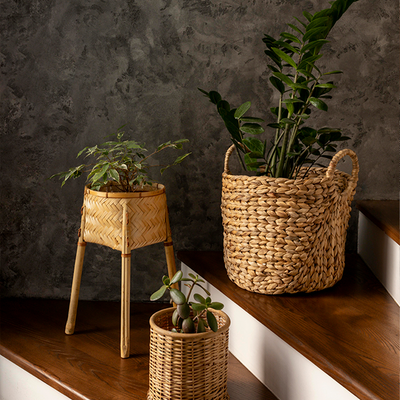 Plantas & Macetas